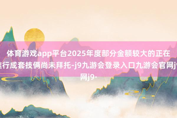 体育游戏app平台2025年度部分金额较大的正在推行成套技俩尚未拜托-j9九游会登录入口九游会官网j9·